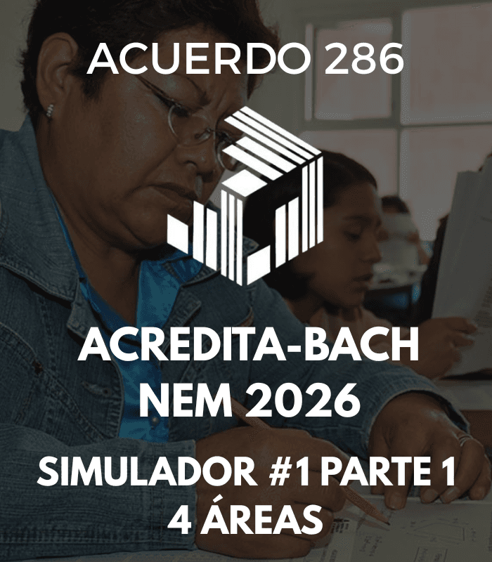 Imagen del simulador