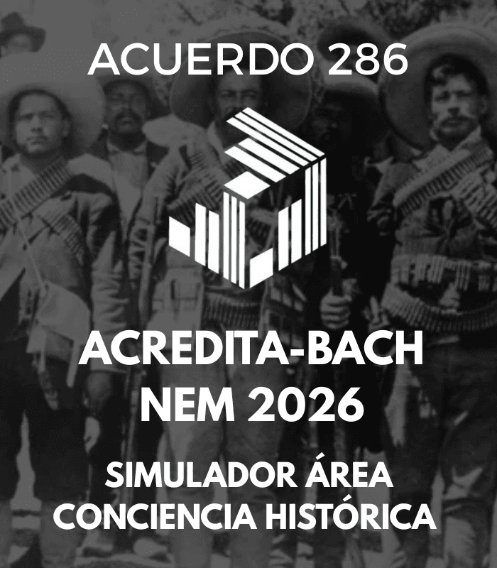 Imagen del simulador