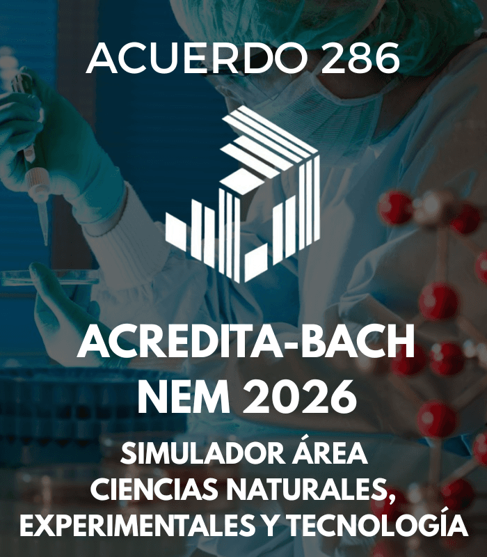 Imagen del simulador